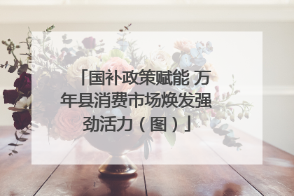 国补政策赋能 万年县消费市场焕发强劲活力（图）