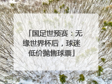 国足世预赛：无缘世界杯后，球迷低价抛售球票
