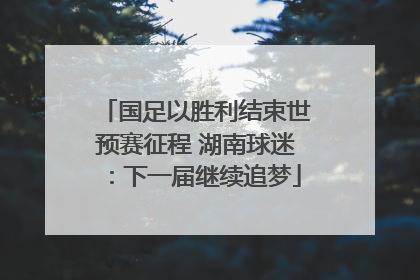 国足以胜利结束世预赛征程 湖南球迷：下一届继续追梦