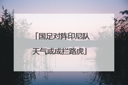 国足对阵印尼队 天气或成拦路虎