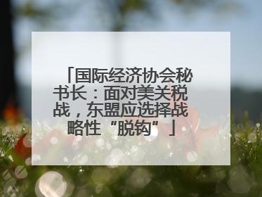 国际经济协会秘书长：面对美关税战，东盟应选择战略性“脱钩”