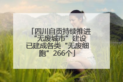 四川自贡持续推进“无废城市”建设 已建成各类“无废细胞”266个