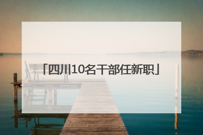 四川10名干部任新职