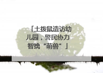 土拨鼠造访幼儿园，警民协力智擒“萌兽”