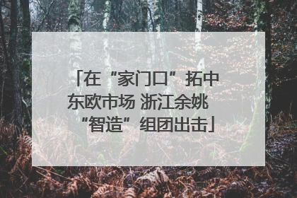 在“家门口”拓中东欧市场 浙江余姚“智造”组团出击