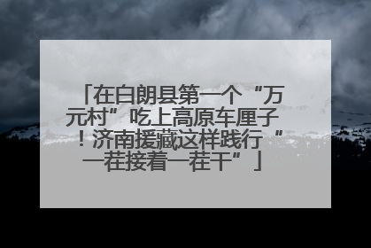 在白朗县第一个“万元村”吃上高原车厘子！济南援藏这样践行“一茬接着一茬干”