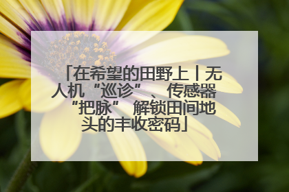 在希望的田野上丨无人机“巡诊”、传感器“把脉” 解锁田间地头的丰收密码