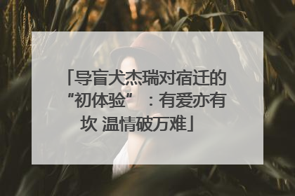 导盲犬杰瑞对宿迁的“初体验”：有爱亦有坎 温情破万难