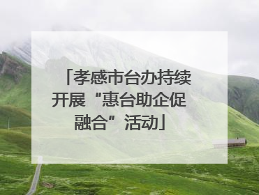 孝感市台办持续开展“惠台助企促融合”活动
