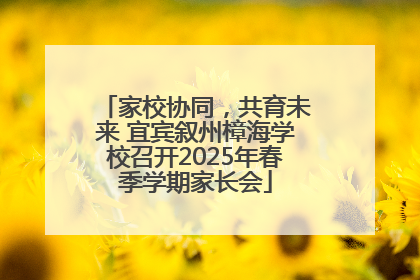 家校协同，共育未来 宜宾叙州樟海学校召开2025年春季学期家长会