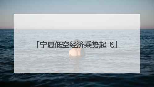 宁夏低空经济乘势起飞