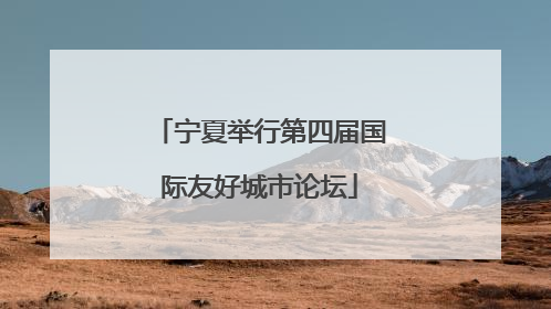 宁夏举行第四届国际友好城市论坛