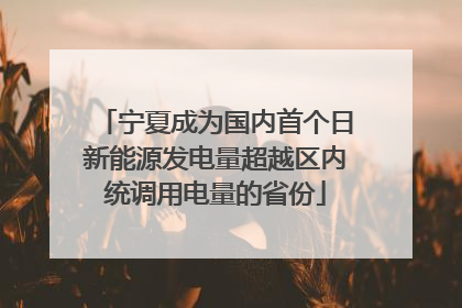 宁夏成为国内首个日新能源发电量超越区内统调用电量的省份