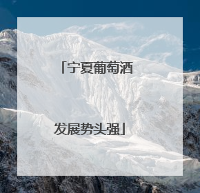 宁夏葡萄酒发展势头强