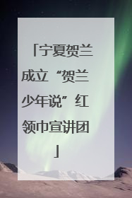 宁夏贺兰成立“贺兰少年说”红领巾宣讲团