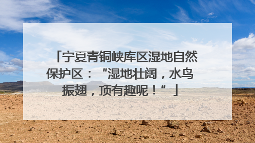 宁夏青铜峡库区湿地自然保护区：“湿地壮阔，水鸟振翅，顶有趣呢！”