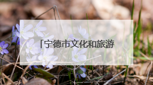 宁德市文化和旅游招商推介会举办 签约15个项目总投资逾15亿元