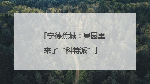 宁德蕉城：果园里来了“科特派”