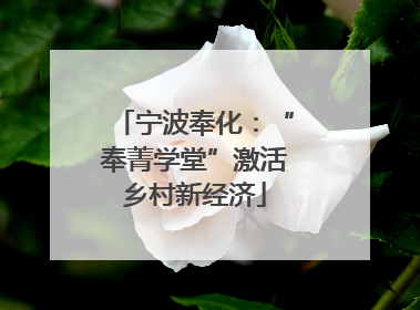 宁波奉化：“奉菁学堂”激活乡村新经济