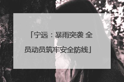 宁远：暴雨突袭 全员动员筑牢安全防线