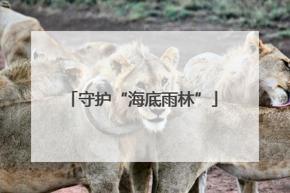 守护“海底雨林”
