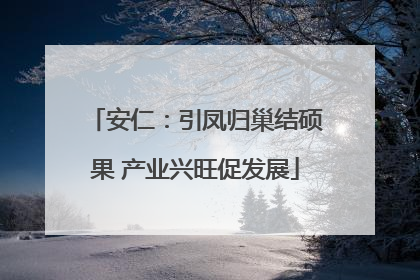 安仁：引凤归巢结硕果 产业兴旺促发展
