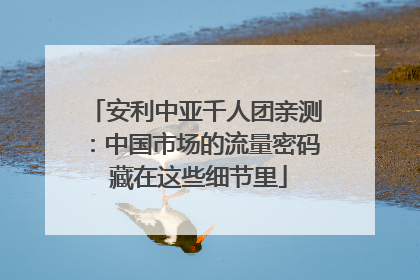 安利中亚千人团亲测：中国市场的流量密码 藏在这些细节里
