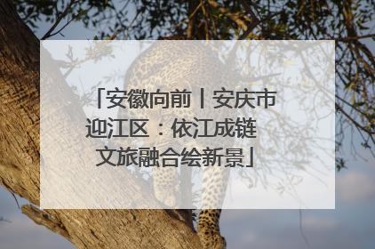 安徽向前丨安庆市迎江区：依江成链 文旅融合绘新景
