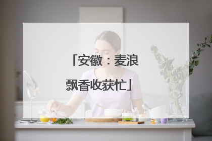 安徽：麦浪飘香收获忙
