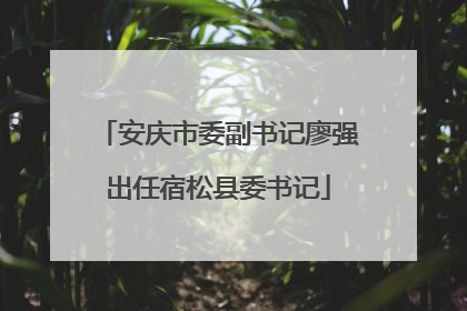 安庆市委副书记廖强出任宿松县委书记