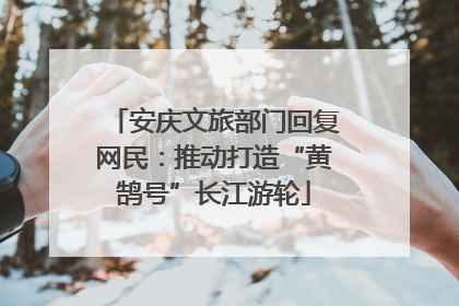 安庆文旅部门回复网民：推动打造“黄鹄号”长江游轮