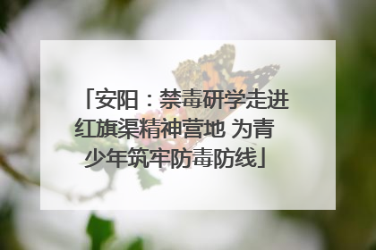 安阳：禁毒研学走进红旗渠精神营地 为青少年筑牢防毒防线
