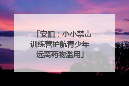 安阳：小小禁毒训练营护航青少年远离药物滥用