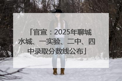 官宣：2025年聊城水城、一实验、二中、四中录取分数线公布