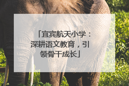 宜宾航天小学：深耕语文教育，引领骨干成长