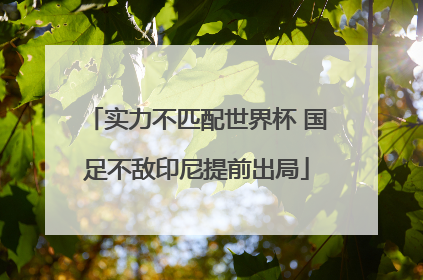 实力不匹配世界杯 国足不敌印尼提前出局