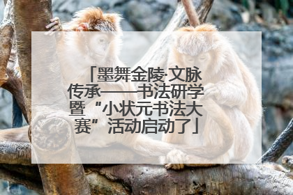 墨舞金陵·文脉传承——书法研学暨“小状元书法大赛”活动启动了
