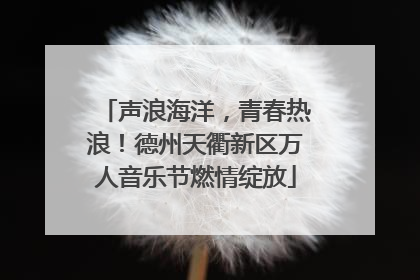 声浪海洋，青春热浪！德州天衢新区万人音乐节燃情绽放