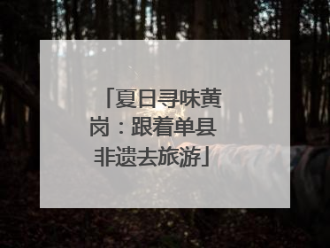 夏日寻味黄岗：跟着单县非遗去旅游