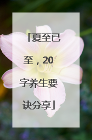 夏至已至，20字养生要诀分享