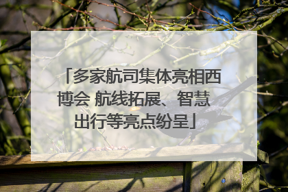多家航司集体亮相西博会 航线拓展、智慧出行等亮点纷呈