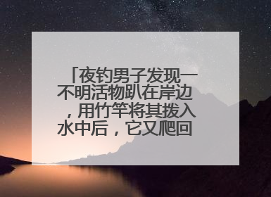 夜钓男子发现一不明活物趴在岸边，用竹竿将其拨入水中后，它又爬回岸边……