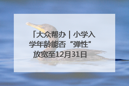 大众帮办｜小学入学年龄能否“弹性”放宽至12月31日？有地方已在探索
