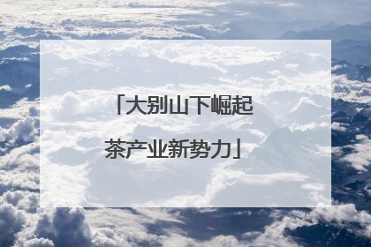 大别山下崛起茶产业新势力