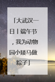 大武汉一日丨端午节，我为动物园小矮马做粽子