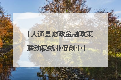 大通县财政金融政策联动稳就业促创业
