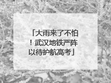 大雨来了不怕！武汉地铁严阵以待护航高考