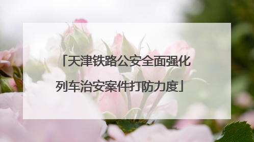 天津铁路公安全面强化列车治安案件打防力度