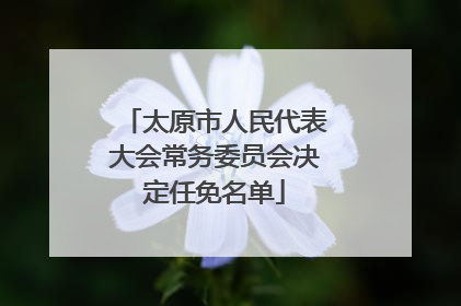 太原市人民代表大会常务委员会决定任免名单
