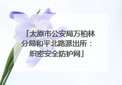 太原市公安局万柏林分局和平北路派出所：织密安全防护网